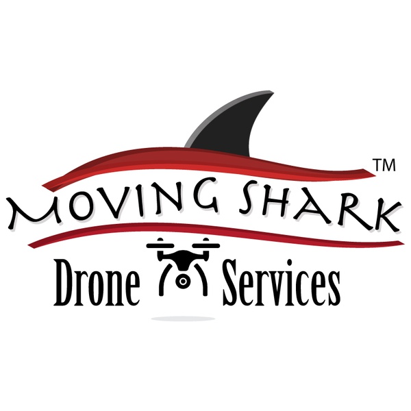Moving Shark Drone Services